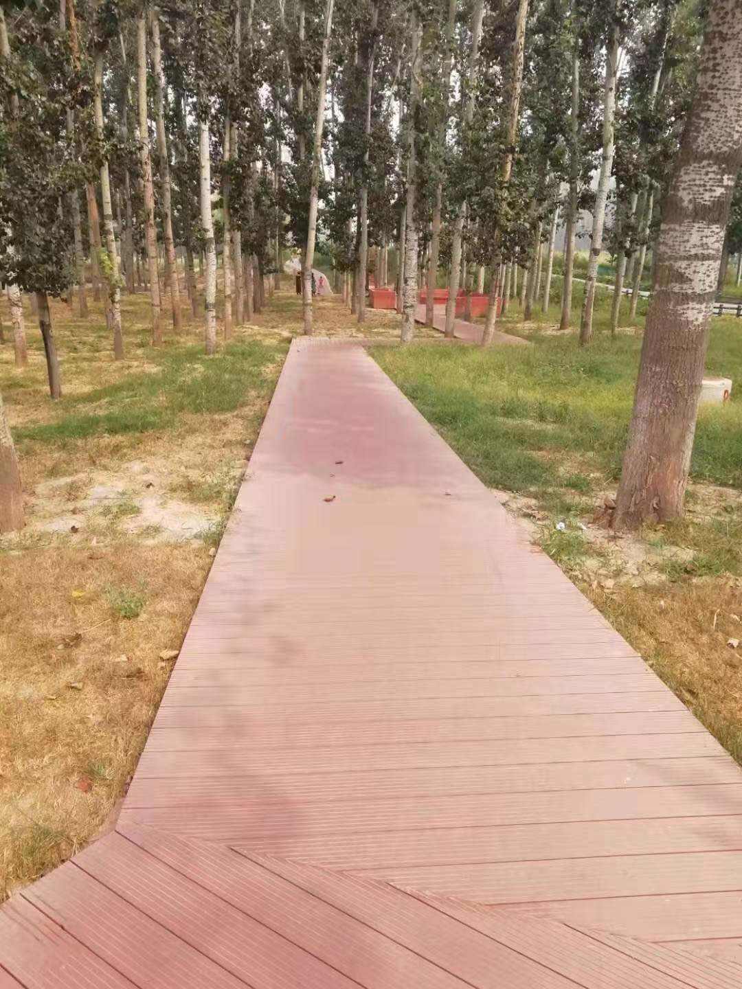 Majiawan wetland park, chaoyang district, Beijing