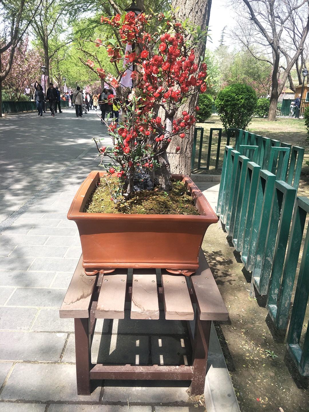 Taoranting park, Beijing